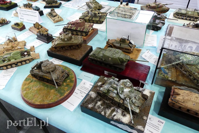 Cierpliwość nagrodzona, czyli modelarze z medalami zdjęcie nr 126248