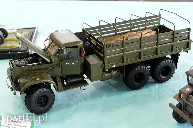 Cierpliwość nagrodzona, czyli modelarze z medalami zdjęcie nr 126238