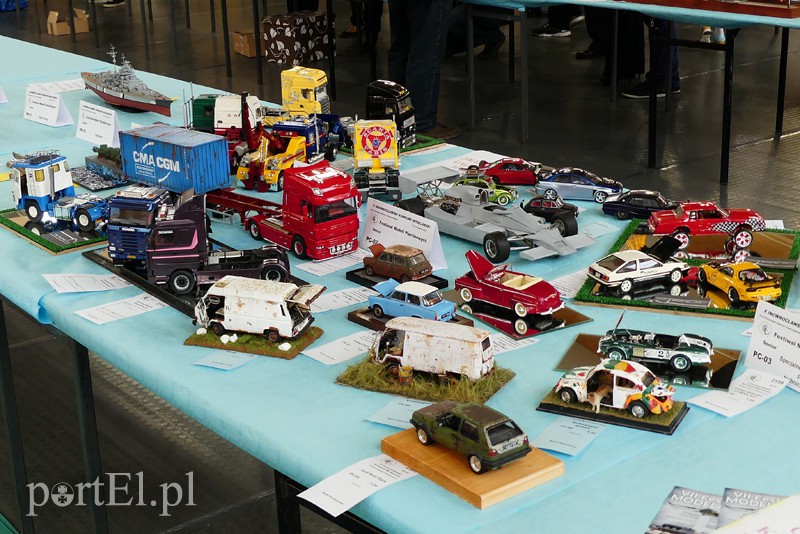 Cierpliwość nagrodzona, czyli modelarze z medalami zdjęcie nr 126258