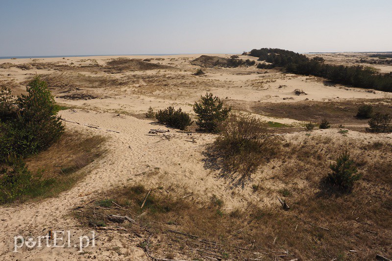 Obwód kaliningradzki w obiektywie zdjęcie nr 128575