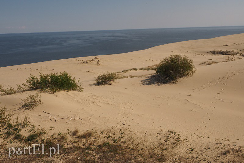 Obwód kaliningradzki w obiektywie zdjęcie nr 128577