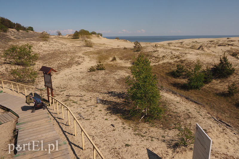 Obwód kaliningradzki w obiektywie zdjęcie nr 128576