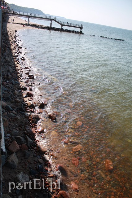 Obwód kaliningradzki w obiektywie zdjęcie nr 128581