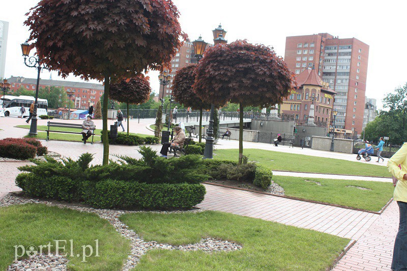 Obwód kaliningradzki w obiektywie zdjęcie nr 128554