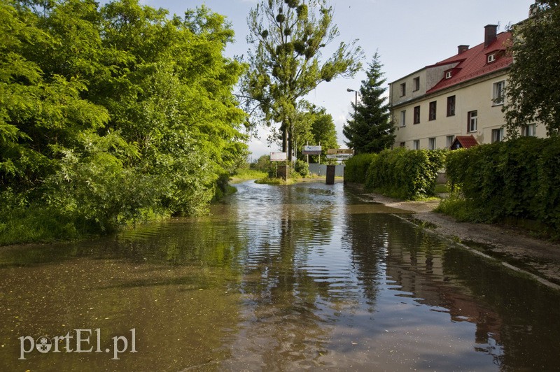 Elbląg  Wichura dała się we znaki