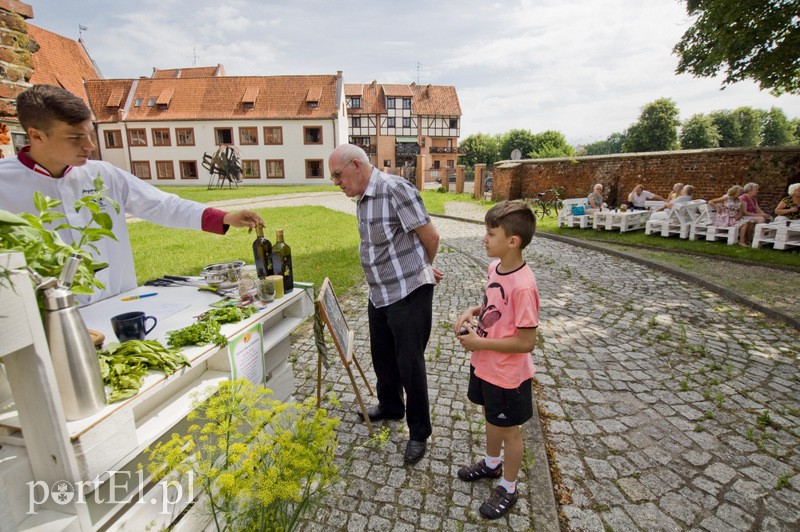 Seniorzy i zioła zdjęcie nr 131574