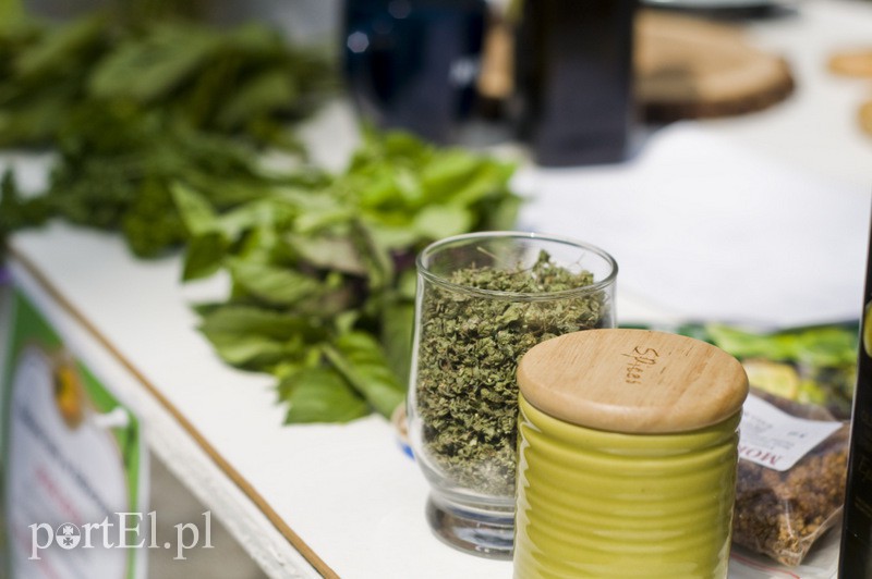 Seniorzy i zioła zdjęcie nr 131580