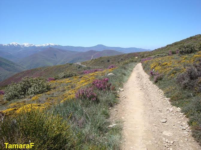 Dla takich widoków warto pokonać trudne ścieżki Gór Kantabryjskich.