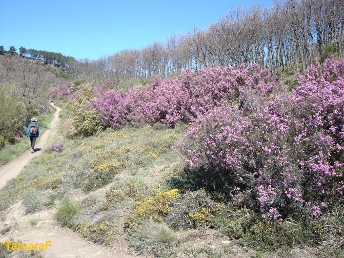 Wędrując nieczęsto spotykamy innych pielgrzymów, ale zawsze są to spotkania serdeczne. Pielgrzymi pozdrawiają się