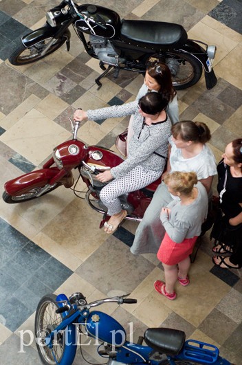  Rockandrollowcy rodem z Niezapominajki zdjęcie nr 131900