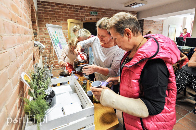 „Zielone lato w bibliotece” zdjęcie nr 132015
