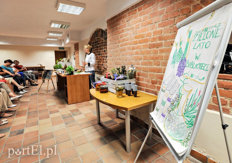 „Zielone lato w bibliotece” zdjęcie nr 131998