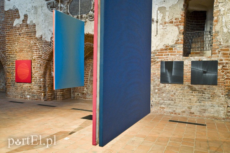 Codemanipulator w Galerii El zdjęcie nr 132032