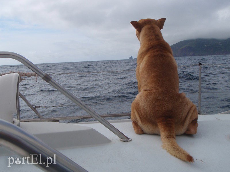 Sam sobie sterem, żeglarzem, okrętem zdjęcie nr 132277