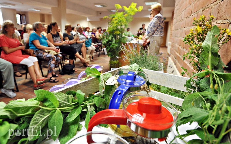 Seniorzy przenieśli się w świat lawendy zdjęcie nr 132363