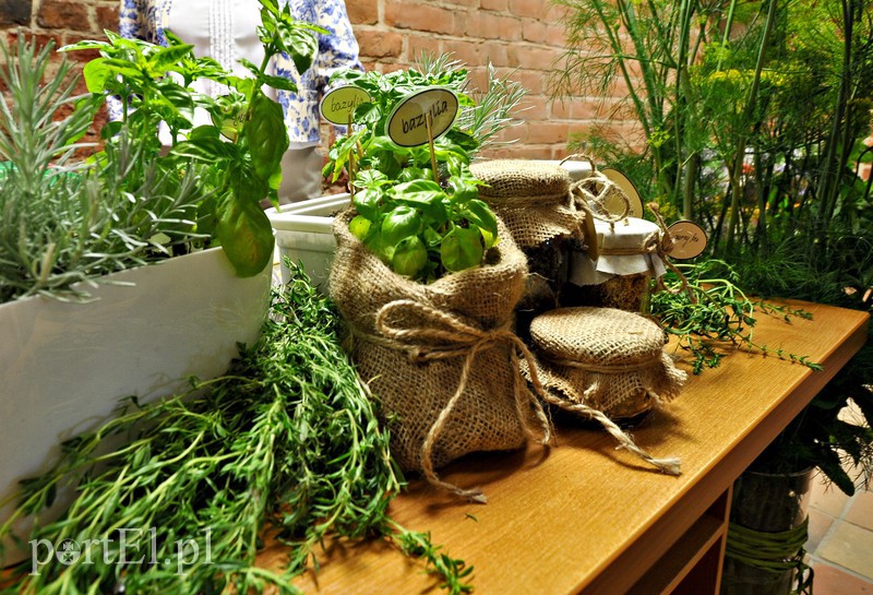 Seniorzy przenieśli się w świat lawendy zdjęcie nr 132362