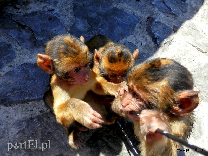 Podróżowanie stało się dla nas synonimem wolności! zdjęcie nr 132392