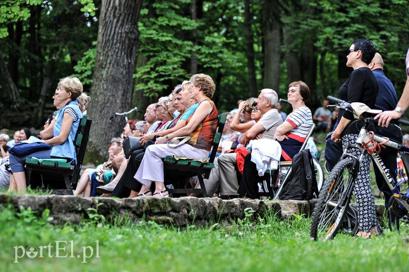 Leśny koncert na klarnet zdjęcie nr 133099
