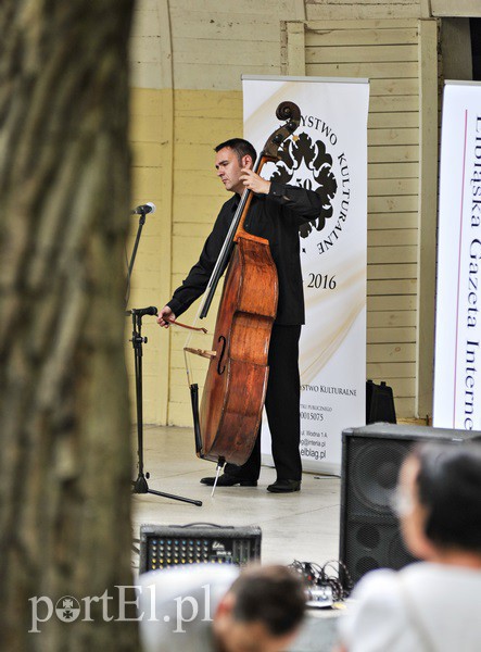 Leśny koncert na klarnet zdjęcie nr 133090