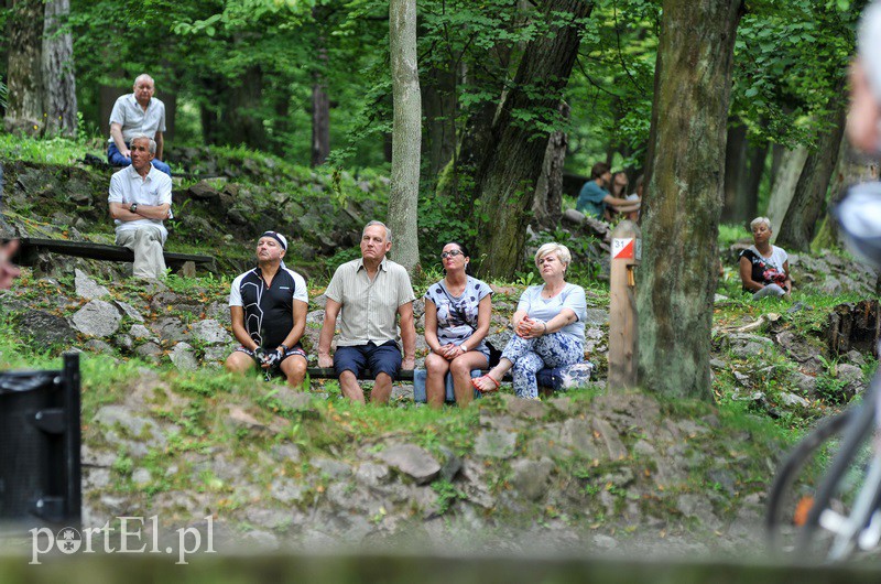 Leśny koncert na klarnet zdjęcie nr 133100