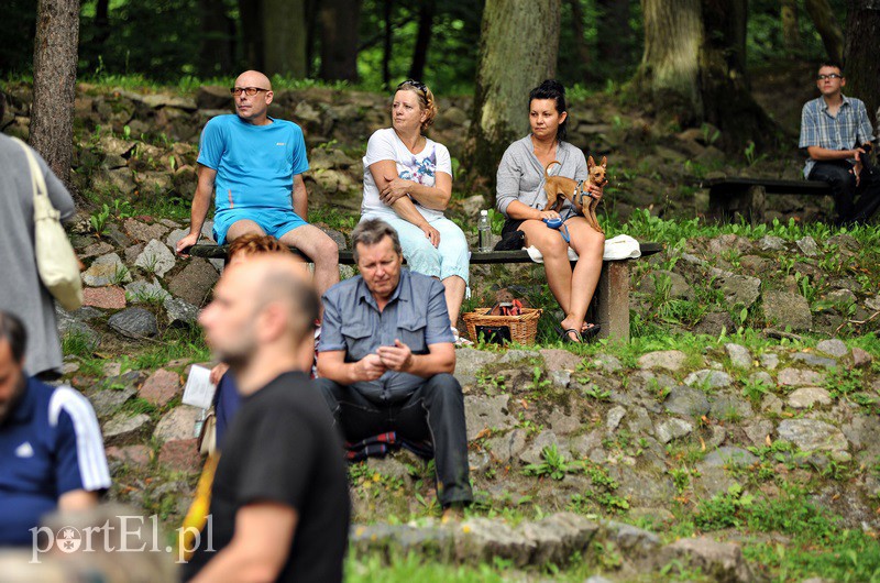Leśny koncert na klarnet zdjęcie nr 133081