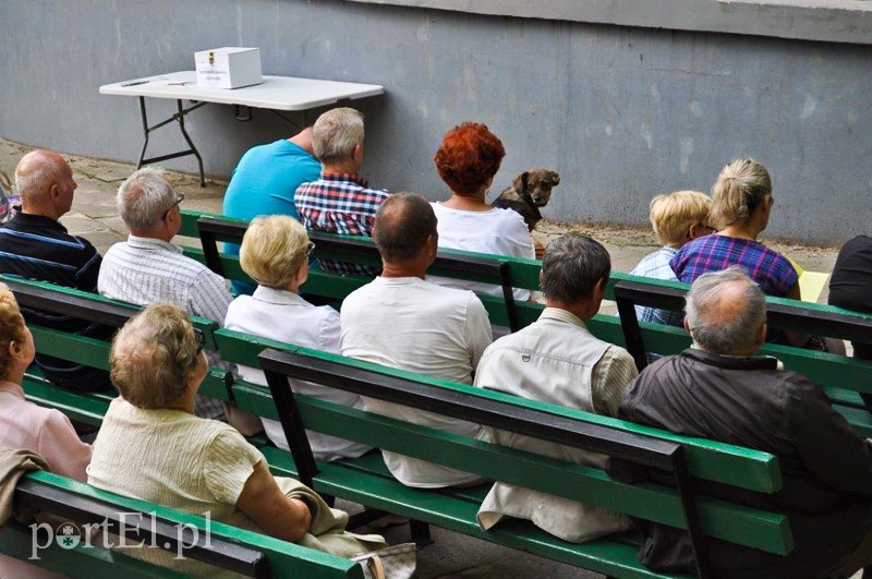 To było dobrze zgrane trio zdjęcie nr 133472