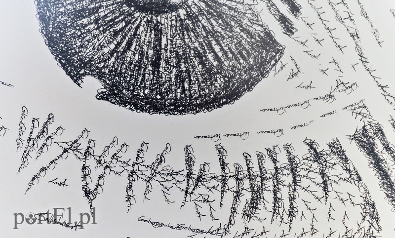 Przypieczętowana twórczość Jarka Polańskiego zdjęcie nr 133627