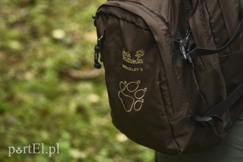 Wilk nie jest ani dobry, ani zły zdjęcie nr 136911