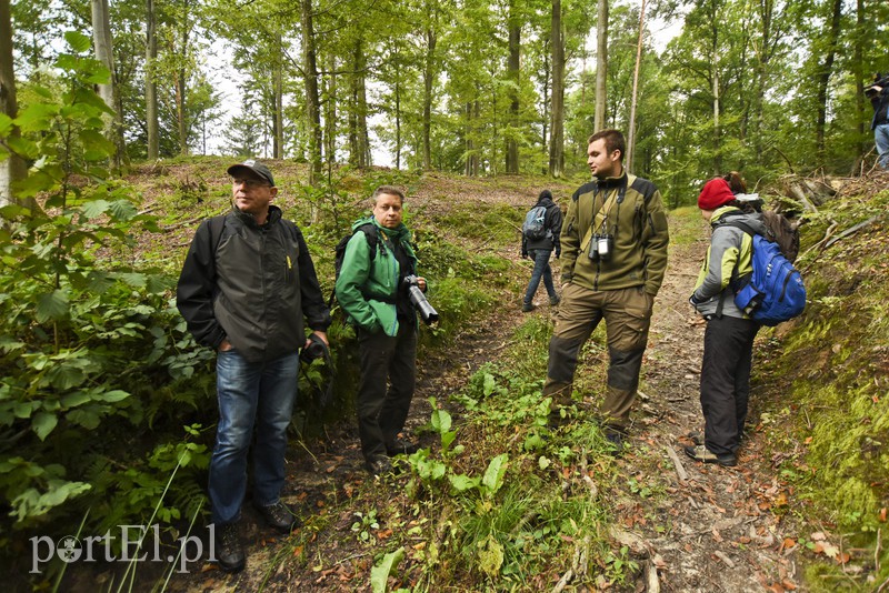 Wilk nie jest ani dobry, ani zły zdjęcie nr 136901