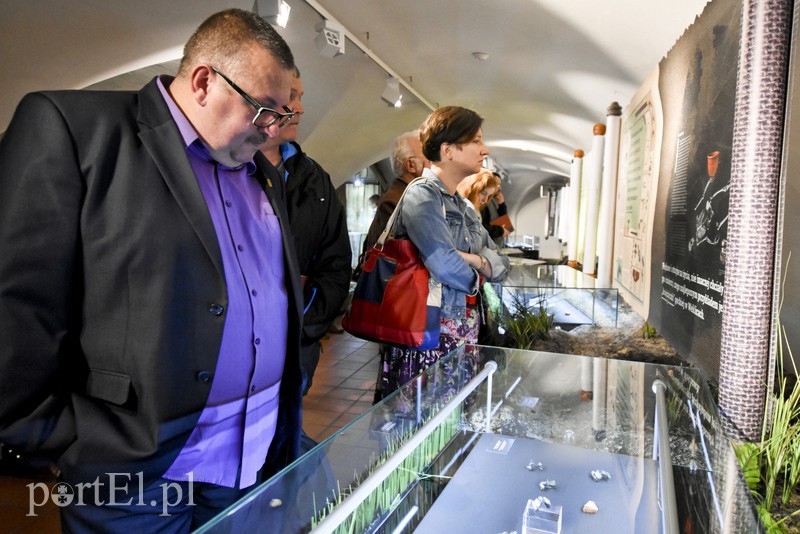 Goci powrócili zdjęcie nr 138563