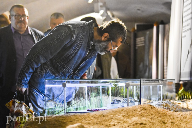 Goci powrócili zdjęcie nr 138568