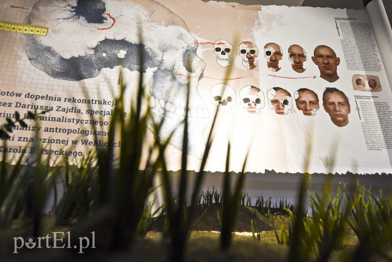 Goci powrócili zdjęcie nr 138572