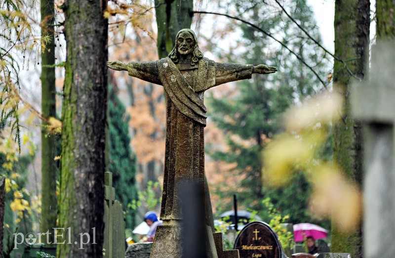 1 listopada na cmentarzu Agrykola zdjęcie nr 139153
