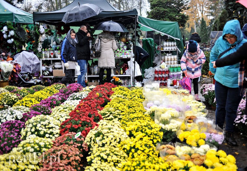 1 listopada na cmentarzu Agrykola zdjęcie nr 139134