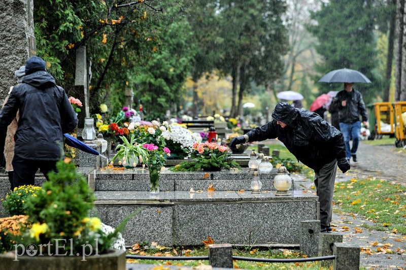 1 listopada na cmentarzu Agrykola zdjęcie nr 139156