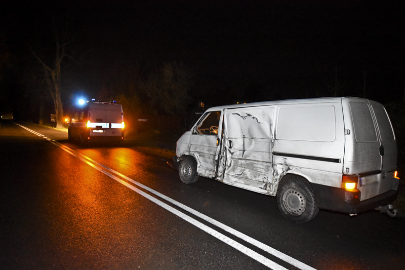 Elbląg Wypadł z drogi i otarł się o dwa drzewa