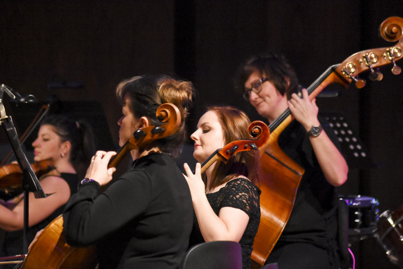 Na spokojnie z akordeonem zdjęcie nr 140303
