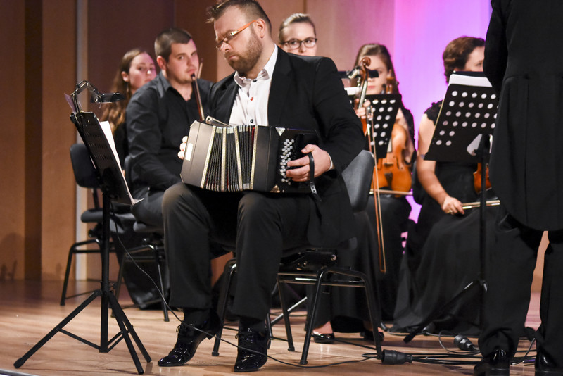 Na spokojnie z akordeonem zdjęcie nr 140319