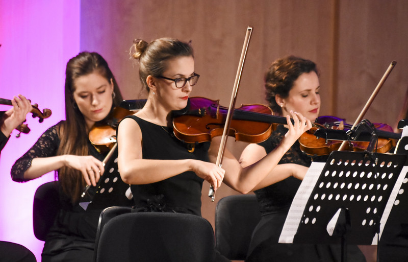 Na spokojnie z akordeonem zdjęcie nr 140309