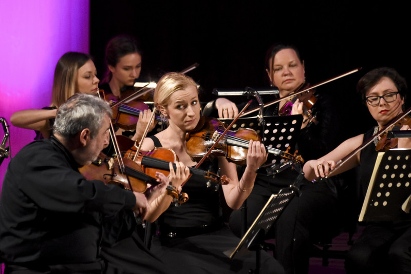 Z koncertów parkowych na salony zdjęcie nr 140649