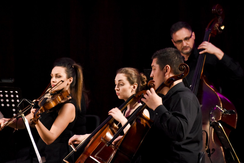 Z koncertów parkowych na salony zdjęcie nr 140653