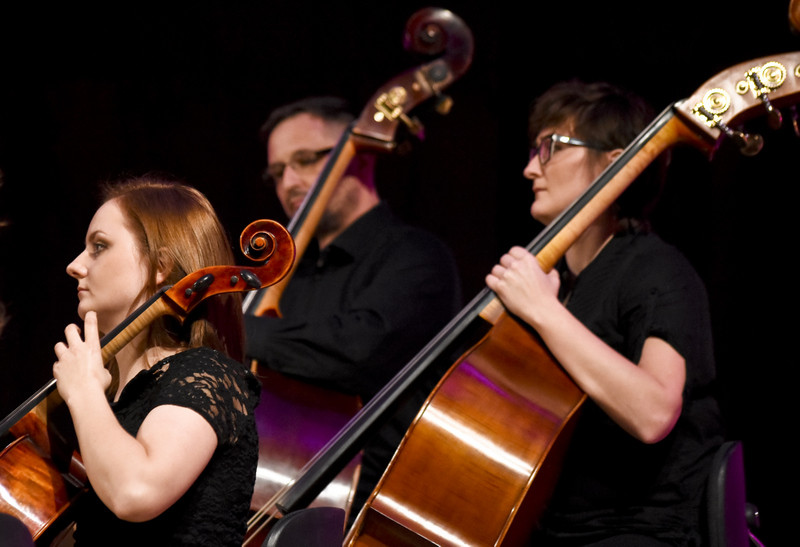 Z koncertów parkowych na salony zdjęcie nr 140658