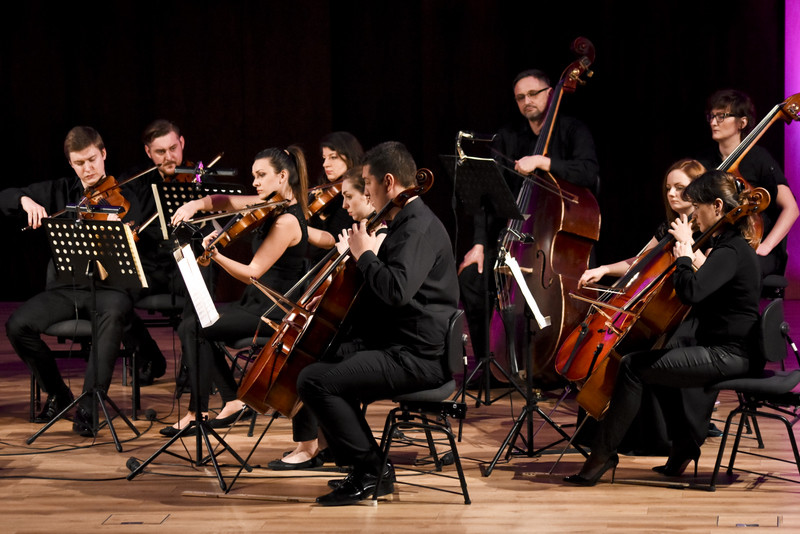 Z koncertów parkowych na salony zdjęcie nr 140650