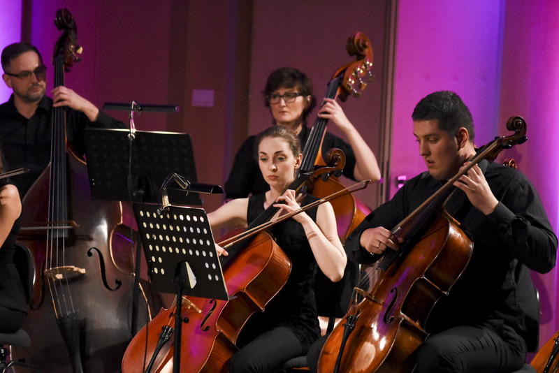 Z koncertów parkowych na salony zdjęcie nr 140663