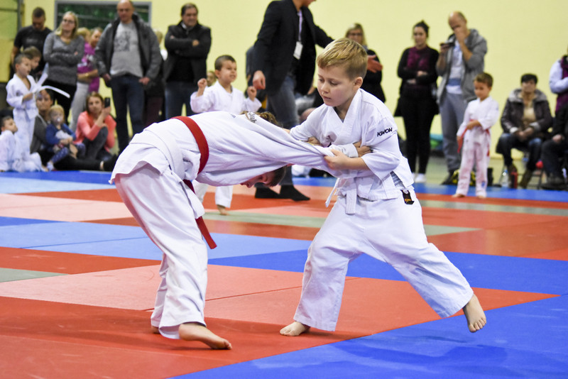 Walczyły nadzieje judo zdjęcie nr 141137