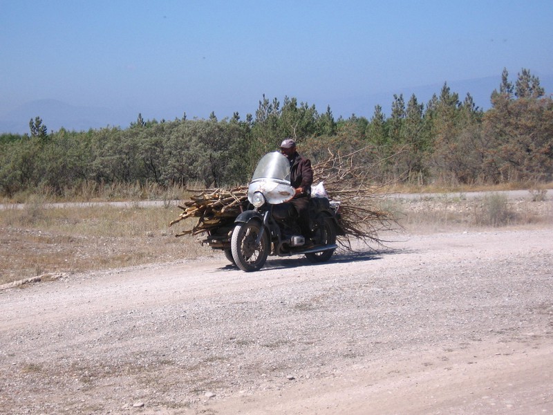 Uśmiech jest przepustką do ludzi zdjęcie nr 142543