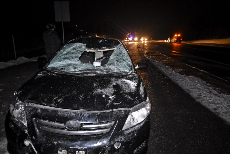 Elbląg Trasa S22: Toyota i seat uderzyły w łosia
