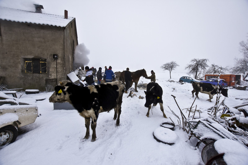 Pożar w Nowakowie zdjęcie nr 143621