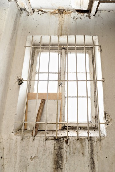 Muzealnicy się pakują zdjęcie nr 143649