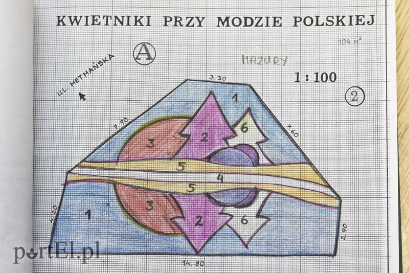 Kwiaty nie tylko dla turystów zdjęcie nr 146763